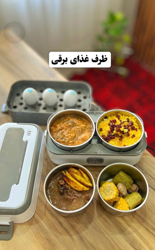 ظرف غذا برقی